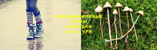 герыч Алзамай